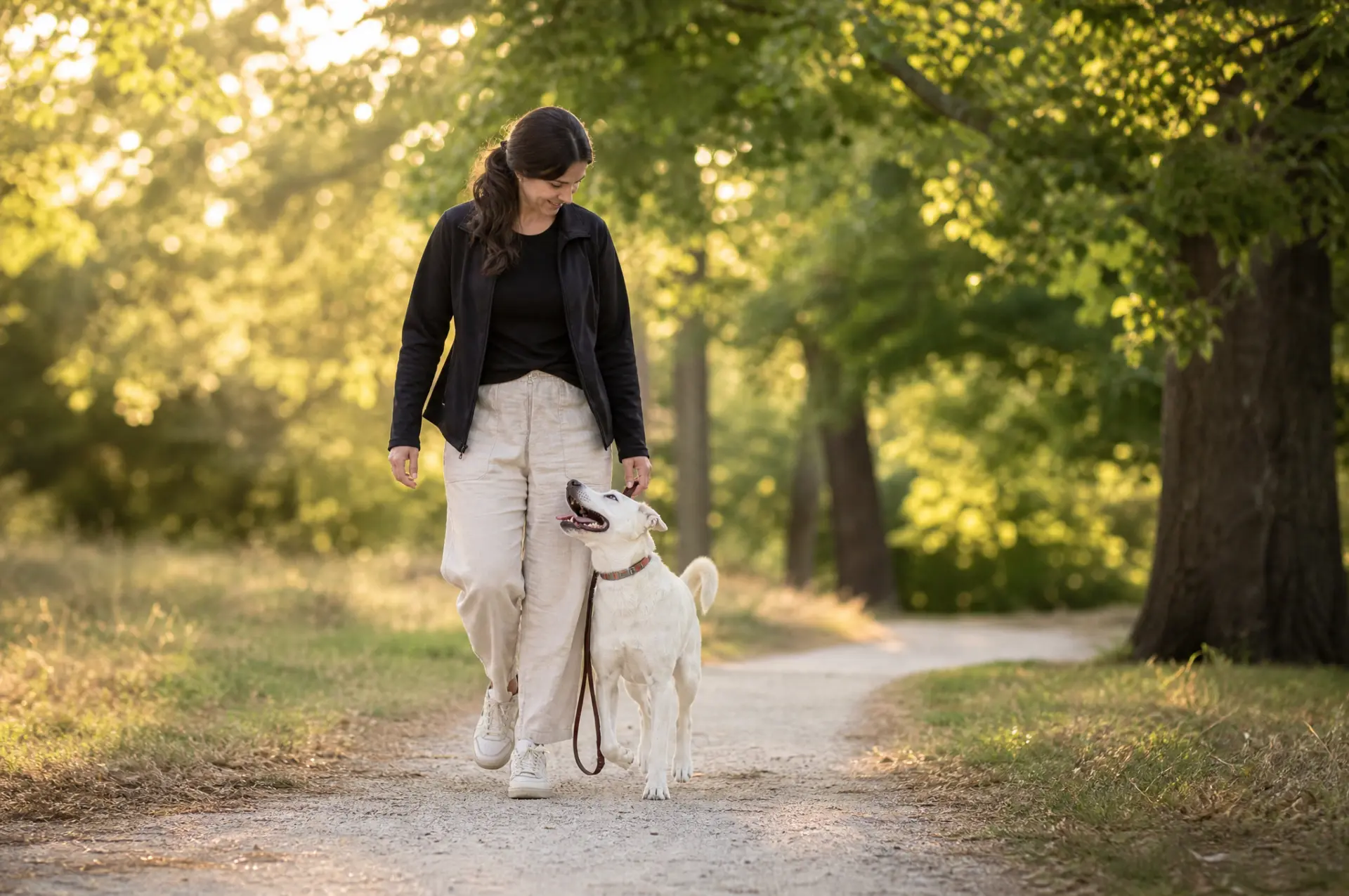 A handler walking a white dog along a tree-lined gravel path in late afternoon light, the dog looking up at her